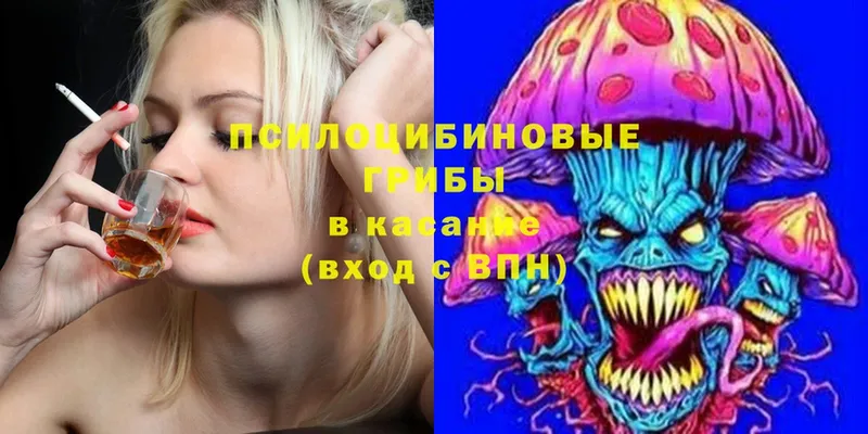 Галлюциногенные грибы Psilocybe  Тюмень 